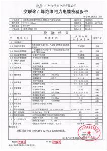產(chǎn)品檢驗報告