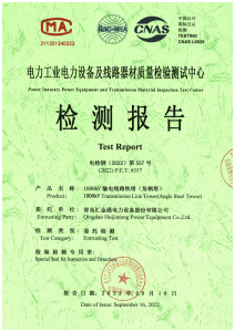 產品檢驗報告
