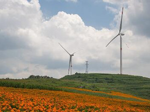 
                
	
                    
	近日，河津市政府與山西國昶新能源有限公司簽約風(fēng)電項目。山西國昶新能源有限公司是一家專業(yè)從事風(fēng)電站、光伏電站、煤層氣電站的投資、建設(shè)、技術(shù)開發(fā)及咨詢的公司，同時開展合同能源管理服務(wù)以及提供節(jié)能環(huán)保工程的設(shè)計、施工及技術(shù)服務(wù)