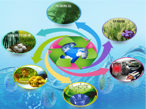 
                
	
                    
	日前，位于河南南都新區(qū)的由溫商企業(yè)德長環(huán)?？萍加邢薰究偼顿Y3.5億元的南陽生物質發(fā)電項目正式啟動。

	

	據(jù)悉，南陽生物質發(fā)電項目每年處置秸稈類廢棄物23萬噸，年發(fā)電量2.16億度，發(fā)電裝機30MW