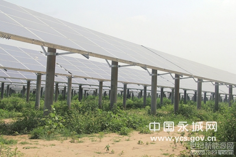 

太陽(yáng)能光伏發(fā)電板鋪設(shè)完成

日前，記者在位于劉河鎮(zhèn)的永城鑫能劉河80兆瓦農(nóng)光互補(bǔ)項(xiàng)目（以下簡(jiǎn)稱永城鑫能項(xiàng)目）所在地看到，一排排整齊的太陽(yáng)能光伏發(fā)電板已鋪設(shè)完成，藍(lán)色多晶硅組件在陽(yáng)光的照射下閃閃發(fā)光。該項(xiàng)目于6月14日一次并網(wǎng)成功