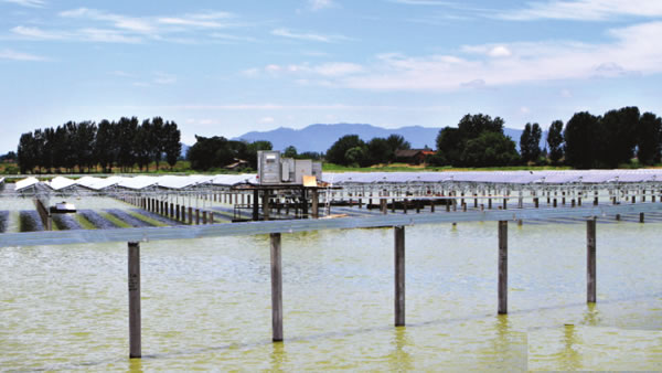                                         
	
	圖為7月2日下午建設(shè)工地現(xiàn)場。

	　　總投資8億多元的“百兆瓦漁光互補(bǔ)”項目光伏發(fā)電站正進(jìn)入工程的收尾階段