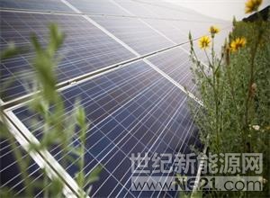 據(jù)報告，歐洲復興開發(fā)銀行將向Ekotechnik Shyroke LLC提供560萬歐元的貸款，用于在第聶伯羅彼得羅夫斯克地區(qū)建設(shè)一座裝機容量為7兆瓦的太陽能發(fā)電廠。



據(jù)了解，該項目的實施將調(diào)整該國的發(fā)電結(jié)構(gòu)