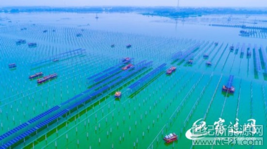 
 

7月30日上午，赤日炎炎，泗洪天崗湖光伏發(fā)電應(yīng)用領(lǐng)跑基地一片繁忙，工人們正揮汗如雨，打樁作業(yè)。

該項目占地面積1.5萬余畝，計劃總投資40億元，年稅收1億元