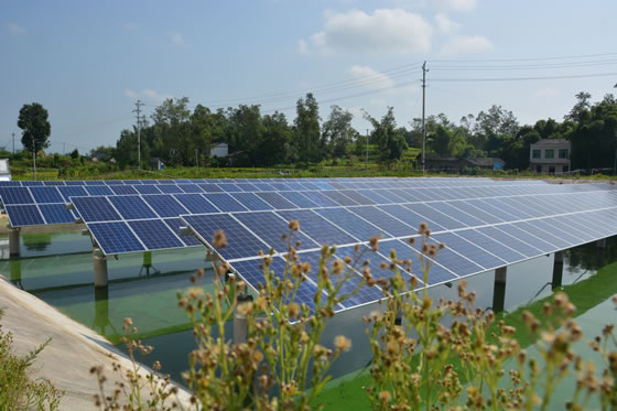                                         
	　　重慶市梁平區(qū)禮讓鎮(zhèn)川西村一池塘上，一面面懸空在水面上的太陽能板在陽光的照射下發(fā)出耀眼的光芒，而讓人意想不到的是，在波光粼粼的水面下，竟養(yǎng)著魚蝦。這就是禮讓鎮(zhèn)試點(diǎn)的首個漁業(yè)光伏發(fā)電項(xiàng)目