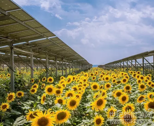  2016年，法國政府制定了到2020年新增3GW光伏的目標(biāo)，目前在穩(wěn)定推進(jìn)。



日前，法國能源部長公開招標(biāo)了103個、總裝機(jī)容量為720MW的不同規(guī)模的光伏項(xiàng)目競標(biāo)結(jié)果揭曉