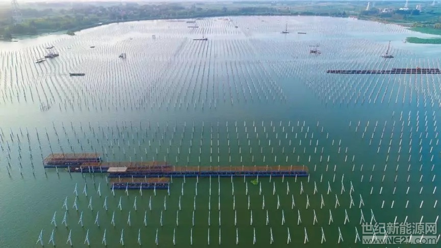 中國(guó)廣核新能源控股有限公司泗洪光伏發(fā)電應(yīng)用領(lǐng)跑基地，地處江蘇省泗洪縣天崗湖鄉(xiāng)，屬于江蘇省經(jīng)濟(jì)欠發(fā)達(dá)鄉(xiāng)鎮(zhèn)。近年來(lái)，天崗湖鄉(xiāng)緊緊抓住省委扶貧這一重大政策，牢固樹立“綠水青山就是金山銀山”的理念，充分利用天崗湖鄉(xiāng)灘涂濕地和湖水優(yōu)勢(shì)，積極引進(jìn)光伏發(fā)電項(xiàng)目，致力于建設(shè)能源之鄉(xiāng)