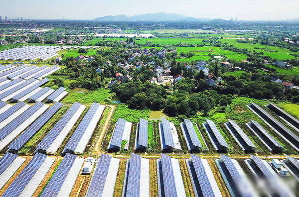                                         
	

	　　湖州市長興縣虹星橋鎮(zhèn)譚家村為積極推進精準幫扶項目，發(fā)展特色高效農業(yè)，拓寬低收入群體增收渠道，以華盛太陽能農莊為基地，給低收入家庭提供大棚種植非洲菊，并進行技術指導，產品由政府和企業(yè)幫助銷售。由“輸血扶貧”轉向“造血扶貧”，為鄉(xiāng)村振興帶來“源頭活水”