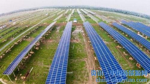                                                                                                                                                                     
	　　“不少私營老板資金鏈斷裂，很多光伏電站都在轉(zhuǎn)讓，我一天至少接觸三四個(gè)項(xiàng)目。”一位光伏產(chǎn)業(yè)李姓負(fù)責(zé)人向經(jīng)濟(jì)觀察報(bào)記者表示，該人士是四川成都一家有著國企背