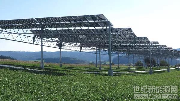  一些創(chuàng)新的想法，似乎在一夜之間涌現(xiàn)，而其他人則生根更慢，等待適當?shù)臈l件茁壯成長。

Agrovoltaics是一個太陽能電池板和糧食作物在同一塊土地上共存的系統(tǒng)，它恰恰屬于后一類