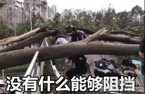    2018年9月16號，廣東20年以來最強臺風“山竹”，席卷了香港、澳門、廣東深圳、汕尾等城市，狂風過后被攔腰折斷或者連根拔起的樹木和吹翻的廣告牌到處都是。
用一句話來形容那就是“風聲雨聲破裂聲聲聲入耳，樓抖窗抖大樹抖處處在抖”
 

 

 
  臺風過后，到處一片狼藉，然而沒有什么能阻擋深圳人上班，17日一早，愛好工作的深圳人早已迫不及待趕赴公司