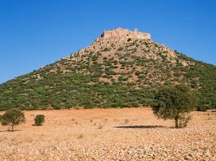 據(jù)coincryptorama報道，將在西班牙為加密貨幣開采商開發(fā)高達300MW的光伏產(chǎn)能，并正在馬拉加建設(shè)兩個能源密集型的加密礦場。財經(jīng)日歷資訊快遞貴金屬模擬交易貴金屬專家直播室金投網(wǎng)貴金屬行情軟件據(jù)報道，該公司的目標(biāo)是用可再生能源為其每一處采礦設(shè)施供電，以抵消對加密挖礦碳排放量的日益增加的批評