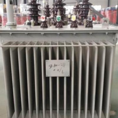 S11-100KVA油浸式變壓器