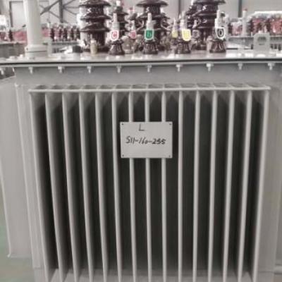 S11-160KVA油浸式變壓器